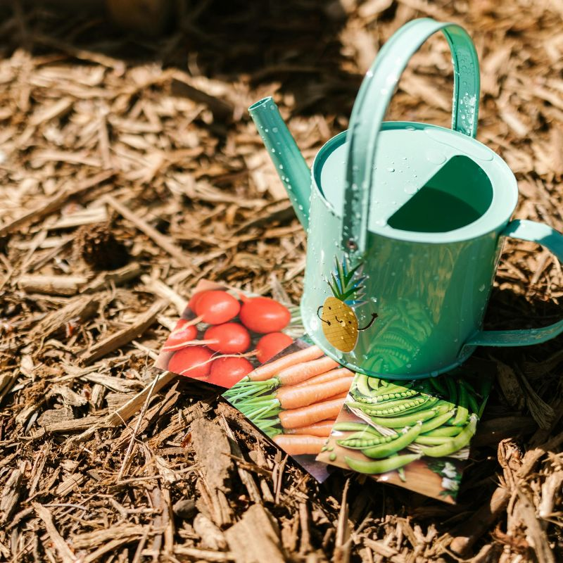 A green watering can sitting in mulch beside seed packets
